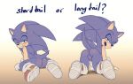  anthro butt clothing crossgender cuntboy eulipotyphlan footwear hedgehog intersex looking_at_viewer looking_back mammal nowykowski7 presenting presenting_hindquarters pussy shoes sonic_(series) sonic_the_hedgehog 