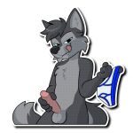 1:1 alpha_channel anthro balls blep blue_eyes blue_seam_briefs briefs canid canine canis clothing erection fur genitals grey_body grey_fur holding_clothing holding_object holding_penis holding_underwear looking_at_viewer male mammal nowandlater penis solo sticker tail telegram_sticker tongue tongue_out underwear white_briefs white_clothing white_underwear wolf zach_the_wolf