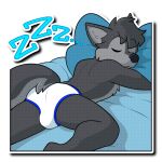 1:1 alpha_channel anthro bed blep blue_eyes blue_seam_briefs briefs canid canine canis clothing fur furniture grey_body grey_fur male mammal nowandlater sleeping solo sticker tail telegram_sticker tongue tongue_out underwear white_briefs white_clothing white_underwear wolf zach_the_wolf