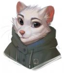  ambiguous_gender anthro clothed clothing felicia_cat fur hi_res looking_at_viewer mammal mouse murid murine rodent simple_background solo whiskers white_background 