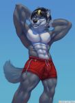  anthro beach bolgy bottomwear bulge canid canine canis clothing conditional_dnp danza hi_res invalid_tag male mammal muscular patreon pinup pose seaside shorts swim wolf wolgy 