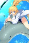  1girl blonde_hair blue_eyes breasts dolphin echo_(circa) fate/grand_order fate_(series) high_ponytail jacket jeanne_d&#039;arc_(fate) jeanne_d&#039;arc_(swimsuit_archer)_(fate) jeanne_d&#039;arc_(swimsuit_archer)_(second_ascension)_(fate) large_breasts long_hair one-piece_swimsuit swimsuit thighs very_long_hair whistle whistle_around_neck white_jacket white_one-piece_swimsuit 