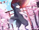  2018 anthro black_nose canid canine canis cherry_blossom fur hi_res looking_at_viewer mammal multicolored_fur nekojita outside plant red_eyes solo standing torii two_tone_fur umbrella white_fur wolf 