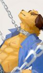 abs acheki anthro bdsm canid canine canis chain chain_leash clothed clothing collar domestic_dog fur hi_res leash lifewonders male mammal nobumichi_(tas) open_clothing open_shirt open_topwear pecs petplay police police_officer police_uniform roleplay scar shirt tokyo_afterschool_summoners topwear uniform yellow_body yellow_eyes yellow_fur