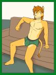 anthro briefs briefs_only bulge clothed clothing felid furniture fuze hi_res lion lion_frat_dude_(fuze) male mammal nipples on_sofa pantherine sitting sofa solo topless underwear underwear_only