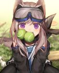  1girl animal_ear_fluff animal_ears arknights ball bangs between_legs black_jacket black_legwear blue_neckwear blurry blurry_background brown_hair cardigan_(arknights) dated depth_of_field detached_sleeves dog_ears dog_girl dog_tail eyebrows_visible_through_hair fang goggles goggles_on_head hair_between_eyes hand_between_legs jacket jakoujika long_hair looking_at_viewer mouth_hold necktie pantyhose purple_eyes shirt sitting solo tail tail_wagging tennis_ball white_shirt 