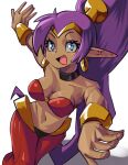 5_fingers absurd_res blue_eyes breasts brown_body brown_skin cleavage clothed clothing ear_piercing ear_ring female fingers genie hair hi_res humanoid humanoid_pointy_ears long_hair looking_at_viewer moxydraws not_furry open_mouth open_smile piercing ponytail purple_hair ring_piercing shantae shantae_(series) simple_background smile solo wayforward