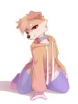  absurd_res anthro brown_body brown_fur canid canine canis clothing collar domestic_dog floppy_ears fur hi_res hoodie looking_at_viewer male mammal narpy p1nk_f0x simple_background sitting sitting_on_ground slim_anthro slim_male solo topwear white_background 