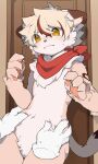  2024 4_fingers anthro biped blush brown_body brown_fur canid canine canis countershade_fur countershading disembodied_hand fingers fur hi_res kemono male mammal mostly_nude offscreen_character red_scarf scarf scarf_only slim_anthro slim_male solo white_body white_countershading white_fur wolf yellow_eyes zibao999 