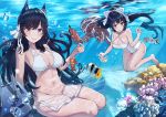  2girls :d animal atago_(azur_lane) atago_(midsummer_march)_(azur_lane) azur_lane bare_arms bare_legs bare_shoulders barefoot bikini black_hair blush bow breasts brown_eyes bubble caustics choker cleavage closed_mouth clownfish commentary_request coral criss-cross_halter day fish freediving hair_bow hair_ribbon halterneck highres jjeono large_breasts long_hair looking_at_viewer mole mole_under_eye multiple_girls one-piece_swimsuit open_mouth outdoors ponytail ribbon sea_turtle see-through smile sparkle swimsuit takao_(azur_lane) takao_(beach_rhapsody)_(azur_lane) thighs turret turtle underwater very_long_hair water white_bikini white_bow white_ribbon white_swimsuit 