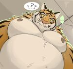  1boy ? ?? bara belly confused fangs fangs_out fat fat_man foreshortening fortnite from_below furry furry_male highres huge_pectorals looking_at_viewer looking_down male_focus meme nipples notice_lines nude orange_fur oscar_(fortnite) photo-referenced ruffus_bleu short_hair solo thick_eyebrows thick_navel_hair tiger_boy upper_body yur_oc_like_this_(meme) 