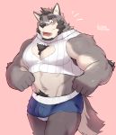  2019 5_fingers absurd_res amber_eyes anthro blush body_hair bottomwear bulge canid canine canis chest_hair clothing embarrassed eyebrows facial_hair hi_res lveink male mammal midriff muscular muscular_male navel nipple_outline open_mouth pecs scar shorts sideburns skimby sweater topwear wolf 