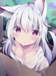  1girl ahoge animal_ear_fluff animal_ears bangs blurry blurry_background blush box breasts cardboard_box cleavage closed_mouth depth_of_field eyebrows_visible_through_hair hair_between_eyes highres in_box in_container kyuukon_(qkonsan) large_breasts long_hair looking_at_viewer off_shoulder original outdoors purple_eyes rain see-through shirt silver_hair solo tail tail_raised very_long_hair wet wet_clothes wet_shirt white_shirt 