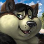  1:1 2019 absurd_res anthro black_fur brown_fur canid canine canis chubby_cheeks detailed_background digital_media_(artwork) double_chin dreamworks_smirk fur headshot_portrait hi_res icon kygen male mammal open_mouth open_smile outside overweight overweight_male portrait signature smile solo wolf 