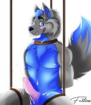  2019 anthro bdsm blush bodily_fluids bondage bound canid canine canis cum digital_media_(artwork) domestic_dog erection fantine fur genital_fluids hair husky looking_at_viewer male mammal muscular nordic_sled_dog nude orgasm penis razzy_husky simple_background smile solo spitz submissive_male 