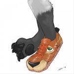  1:1 2018 4_toes ambiguous_gender anthro clothing duo feet foot_fetish foot_shot footwear fur green_eyes grey_fur hi_res inanimate_transformation mammal mike- pawpads post_transformation procyonid raccoon shoes signature simple_background toes transformation unknown_species what white_background 