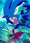  1boy blue_theme english_commentary ezume_(rosehip) fangs gloves green_eyes grin highres mario_&amp;_sonic_at_the_tokyo_2020_olympic_games no_humans no_pants pose red_footwear smile solo sonic sonic_the_hedgehog splashing surfing water 