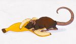  2019 banana brown_fur digital_media_(artwork) feral food fruit fur magenta7 mammal murid murine plant rat rodent simple_background smile solo white_background 