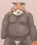  2019 ailurid anthro belly blush clothing hi_res humanoid_hands kota&acute; male mammal moobs navel nipples overweight overweight_male red_panda simple_background solo underwear 