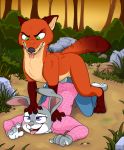  2019 all_fours anthro anthro_on_feral anthro_penetrated bestiality canid canine canon_couple disney doggystyle duo evil_grin female female_penetrated feral feral_penetrating feral_penetrating_anthro fox from_behind_position green_eyes grin judy_hopps lagomorph leporid male male/female male_penetrating mammal nick_wilde outside penetration purple_eyes rabbit sex smile tongue tongue_out vorechestra zootopia 
