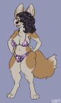  anthro bikini bulge canid canine clothing dbd dickgirl fennec fox hair hair_over_eye hands_on_hips intersex looking_at_viewer mammal smile solo standing swimwear 