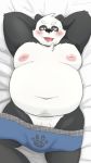  2019 9:16 anthro balls belly blush clothing giant_panda hi_res lying male mammal menno_kesinn moobs navel nipples overweight overweight_male penis solo tongue tongue_out underwear ursid 