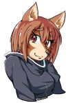  2017 alpha_channel anthro breasts brown_eyes brown_hair canid canine canis clothing domestic_dog female flying_witch hair half-length_portrait hoodie inukai_(flying_witch) kdhynamo mammal portrait simple_background smile solo transparent_background 