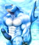  anthro chain dynathecat fish male marine muscular muscular_male penis piercing sea shark solo vein water 