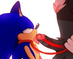  anthro balls bodily_fluids chest_tuft collar duo erection eulipotyphlan fur green_eyes half-closed_eyes hedgehog hi_res humanoid_penis jayaero leash licking male male/male mammal open_mouth oral penile penis penis_lick pubes saliva sex shadow_the_hedgehog sonic_(series) sonic_the_hedgehog tongue tongue_out tuft 