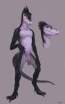  2018 4_toes 5_fingers anthro balls big_claws biped black_hair black_scales black_tail claws countershading dewclaw digital_media_(artwork) digitigrade dinosaur dromaeosaurid flaccid front_view green_eyes grey_background hair hand_on_leg hi_res humanoid_penis klongi looking_at_viewer male model_sheet multicolored_scales nude penis purple_balls purple_countershading purple_penis purple_scales reptile scales scalie short_hair simple_background solo standing theropod toe_claws toes two_tone_scales uncut velociraptor 