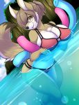  2018 anthro better_version_at_source big_breasts bikini black_nose breasts brown_fur brown_hair canid canine canis cheyenne_(inu-dono) clothing coyote eyewear female fur glasses hair hi_res mammal navel partially_submerged portrait smile solo spazzykoneko swimwear water white_fur yellow_eyes 