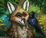  2019 anthro avian bird black_feathers black_nose brown_fur canid canine corvid corvus_(genus) crow detailed_background digital_media_(artwork) duo feathered_wings feathers feral flashw fox fur looking_at_viewer mammal smile wings 