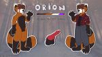  2019 ailurid animal_genitalia animal_penis anthro balls canine_penis clothing cosimia digital_media_(artwork) english_text erection fur knot looking_at_viewer male mammal model_sheet nude orion_(character) penis red_panda smile solo standing text 