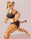  anthro big_breasts black_spots bodily_fluids bra breasts cheetah clothing cooliehigh earbuds exercise felid feline female fur headphones hi_res mammal midriff running solo sports_bra spots spotted_fur sweat tan_fur track_shorts underwear workout yellow_eyes 