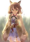  ... 1girl amane_rosylily animal_ear_fluff animal_ears bangs black_legwear blurry blurry_background brown_coat brown_eyes brown_hair bruise clenched_hands coat collarbone commentary_request day depth_of_field dress eyebrows_visible_through_hair fingernails fox_ears highres injury long_sleeves looking_at_viewer open_clothes open_coat original outdoors sekira_ame solo standing thighhighs torn_clothes torn_dress translation_request v-shaped_eyebrows white_dress 