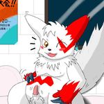  pokemon tagme zangoose 