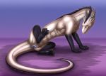  2019 aunara clitoral_hood dragon female feral presenting pussy scales shadarrius solo 