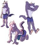  2019 absurd_res anthro canid canine canis clothing digital_media_(artwork) fur hi_res kemono male mammal nipples pecs plum_(artist) solo underwear wolf 