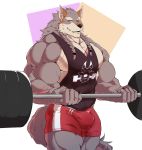  2019 anthro biceps bottomwear bulge canid canine canis clothing digital_media_(artwork) essentialryu exercise fur hi_res looking_at_viewer male mammal muscular muscular_male pecs scar shirt shorts solo tank_top topwear weightlifting wolf workout 