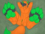  2019 3dinoz 4_toes anthro anus black_fur canid canine cuntboy digitigrade dipstick_tail fox fur gloves_(marking) green_eyes green_fur green_nose green_skin hair intersex looking_at_viewer lying mammal markings multicolored_tail muzzle_(marking) nude on_back orange_fur orange_hair orange_skin pawpads paws pussy sky smile solo toeless_(marking) toes 
