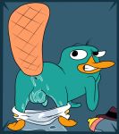  balls butt contimplatininspiratio diaper digital_media_(artwork) flaccid hi_res male mammal monotreme penis perry_the_platypus platypus solo wet 