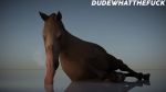  16:9 3d_(artwork) 3d_animation ambiguous_gender animated bestiality digital_media_(artwork) disembodied_penis dudewhatthefuck_(artist) duo equid equine feral horse human human_on_feral interspecies loop male male_on_feral mammal oral penetration penis size_difference tongue 