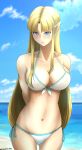  abs absurdres arms_behind_back ass_visible_through_thighs bikini blue_sky blush breasts cleavage cloud expressionless front-tie_top groin hiby highres large_breasts long_hair navel ocean pointy_ears princess_zelda side-tie_bikini sidelocks skindentation sky swimsuit the_legend_of_zelda very_long_hair 