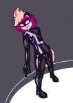  ambiguous_gender bodysuit clothing demisexual domestic_ferret hi_res latexity mammal mustela mustelid musteline pride_(disambiguation) rubber skinsuit solo tight_clothing zipper 