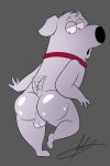  2:3 3_fingers 3_toes absurd_res anthro anus backsack balls big_butt biped black_eyes blush brian_griffin butt canid canine collar eyebrows family_guy feet fur girly grey_background half-closed_eyes head_tuft hi_res invalid_tag male mammal open_mouth paws perineum presenting presenting_hindquarters raised_eyebrows raymondfoxxx red_collar signature simple_background standing tailwag thick_thighs toes white_fur 