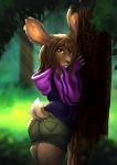  2019 anthro brown_eyes brown_fur brown_hair clothed clothing digital_media_(artwork) female fur hair hoodie lagomorph leporid mammal rabbit smile solo standing tasanko topwear 