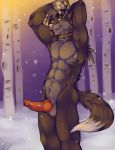  2016 abs absurd_res anthro balls bambii_dog canid canine canis collar erection hi_res knot male mammal outside penis snout snow solo standing tree wolf 