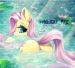  2019 butt cutie_mark equid equine eyelashes female feral fluttershy_(mlp) friendship_is_magic hair hi_res lily_pad long_hair looking_back mammal my_little_pony outside partially_submerged pink_hair plant rear_view solo teal_eyes unluckypaw water 
