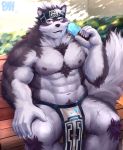  2019 abs absurd_res accessory amber_eyes bench body_hair bulge canid canine canis chest_fur chest_hair clothing food headband hi_res horkeukamui light loincloth male mammal muscular muscular_male nipples obliques open_mouth open_smile pecs physen popsicle smile sunlight tokyo_afterschool_summoners video_games wolf 