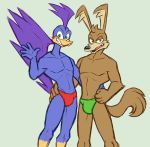  avian bird blue_feathers brown_fur bulge canid canine canis clothed clothing couple_(disambiguation) coyote cuculiform duo feathers fur green_eyes hi_res looking_at_viewer loonatics_unleashed looney_tunes male mammal muscular new_world_ground_cuckoo pose rev_runner roadrunner shanzehpoo smile speedo swimwear tech_e_coyote warner_brothers 